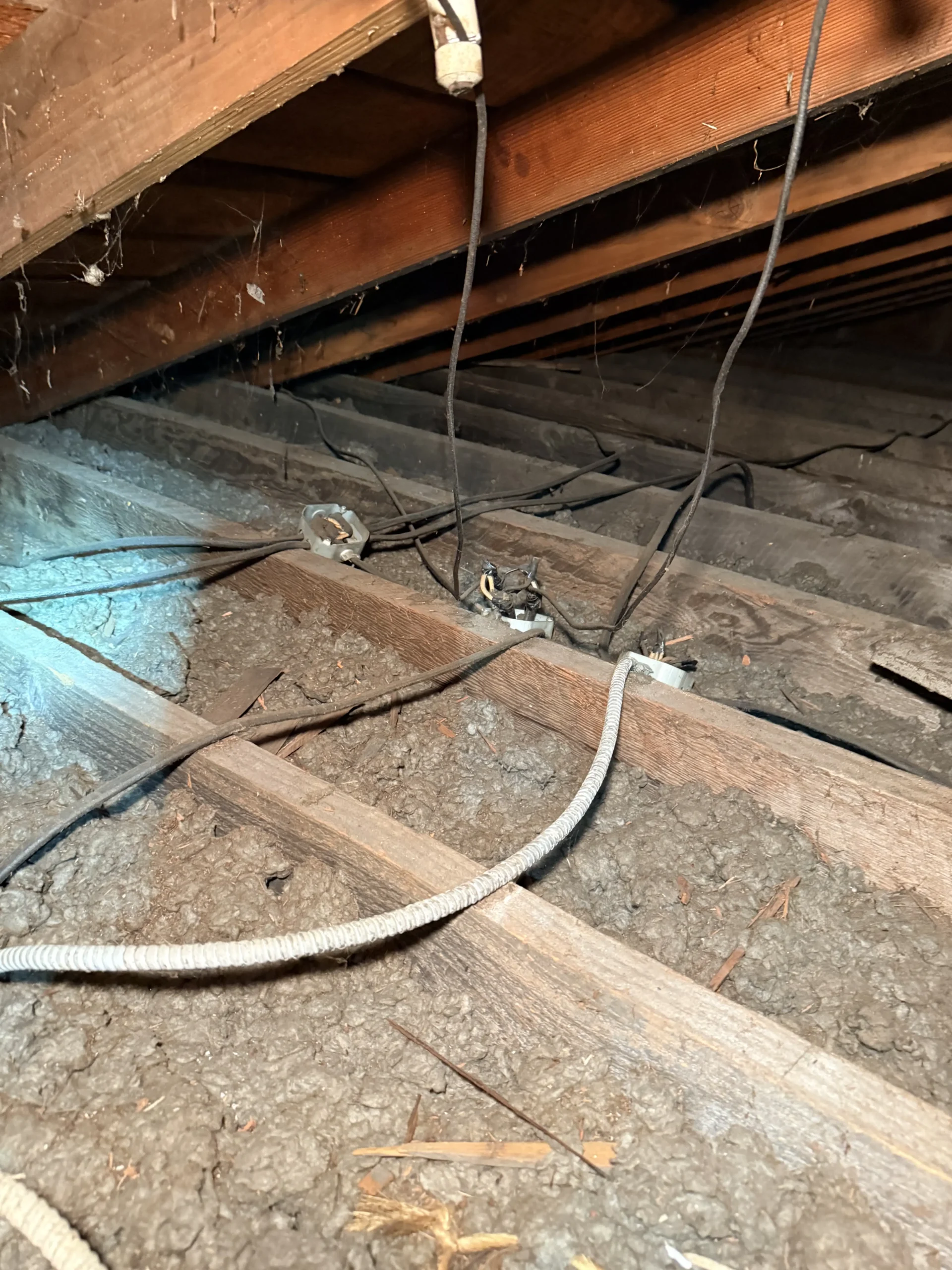 What a Knob and Tube Rewire Looks Like With Carroll Electric